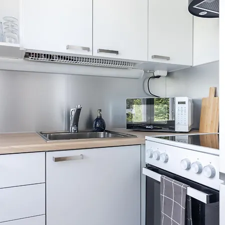 Apartment Near Downtown & Sports Center With Free Parking Lahti